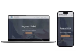 Caso de exito web de abogados